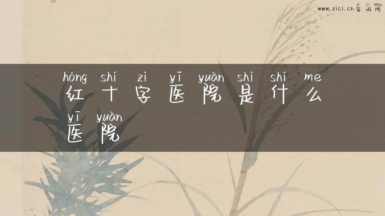 红十字医院是什么医院
