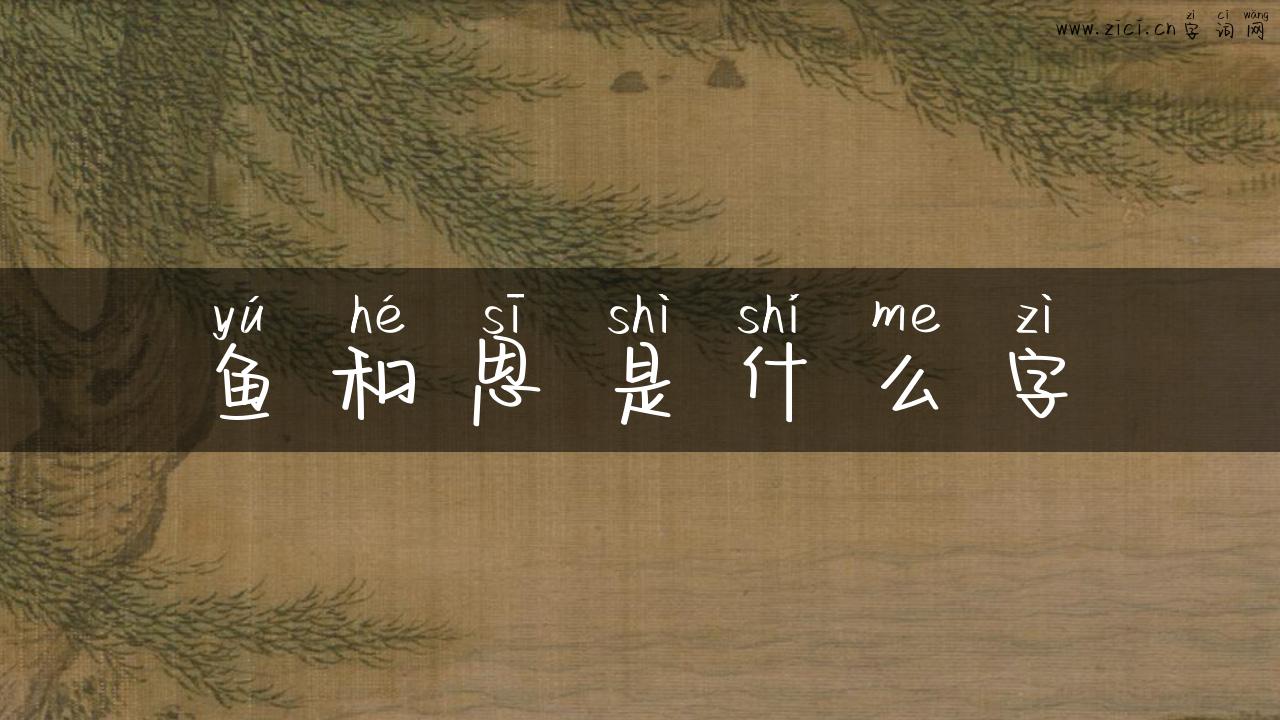 鱼和思是什么字