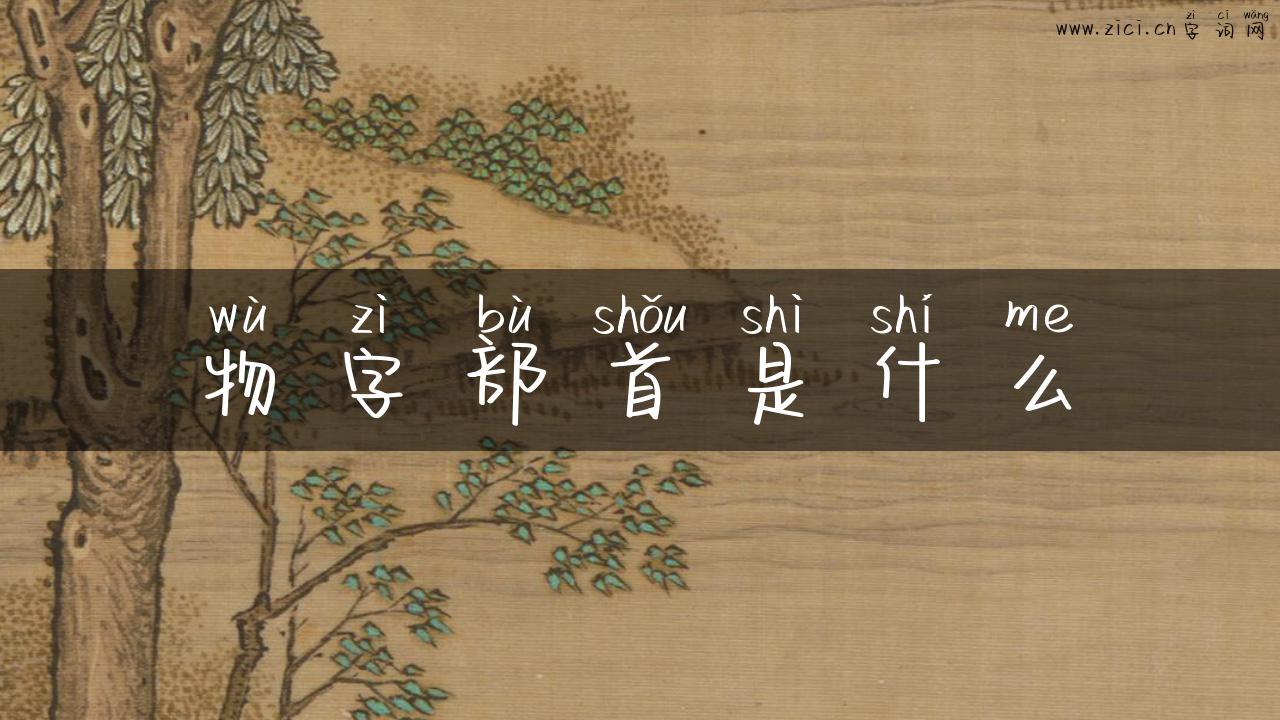 物字部首是什么