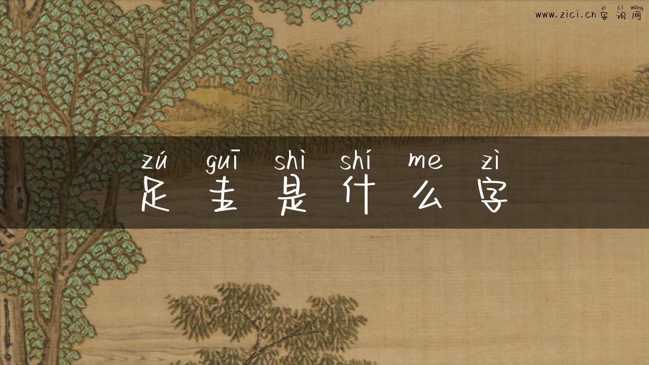 足圭是什么字