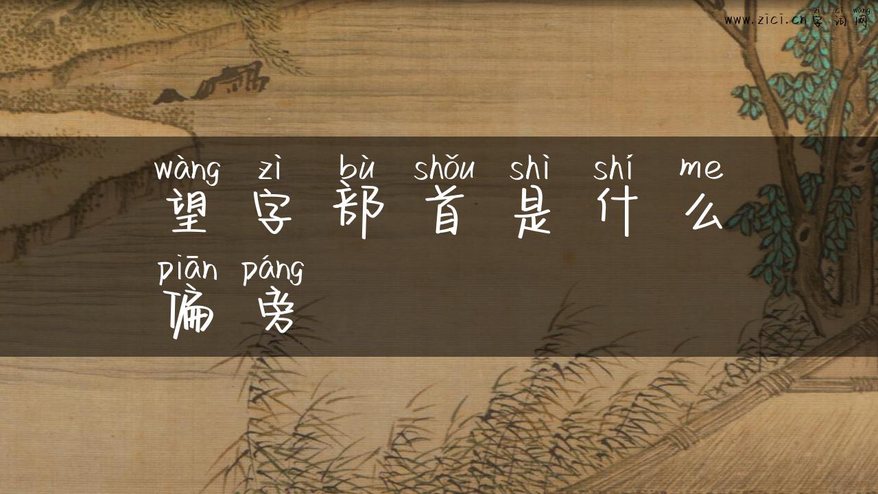 望字部首是什么偏旁