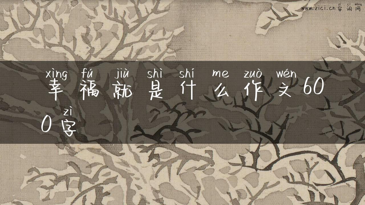 幸福就是什么作文600字