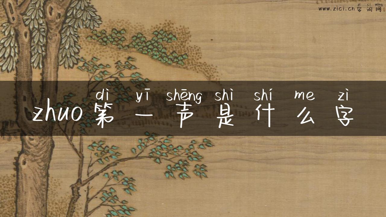 zhuo第一声是什么字
