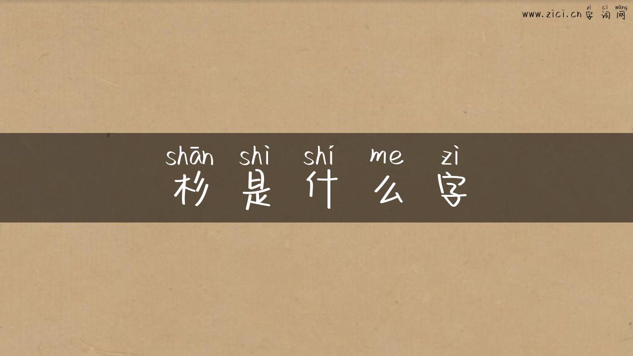 杉是什么字