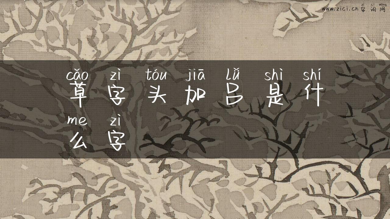 草字头加吕是什么字