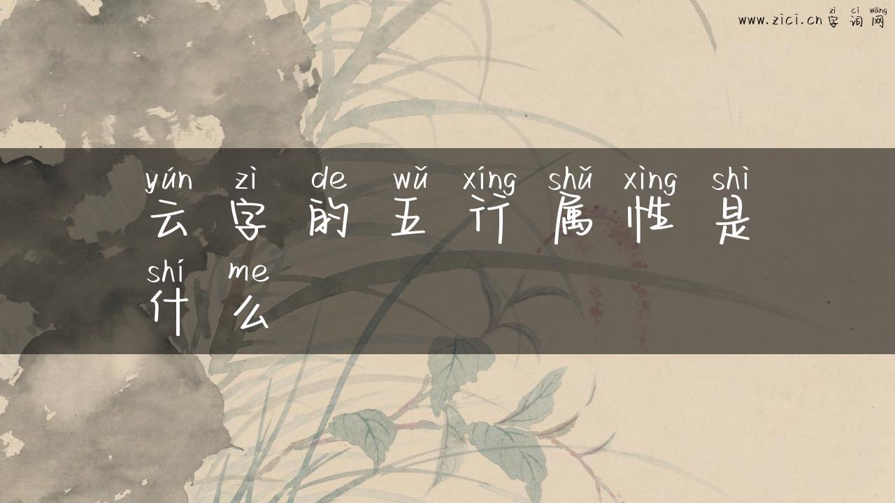 云字的五行属性是什么