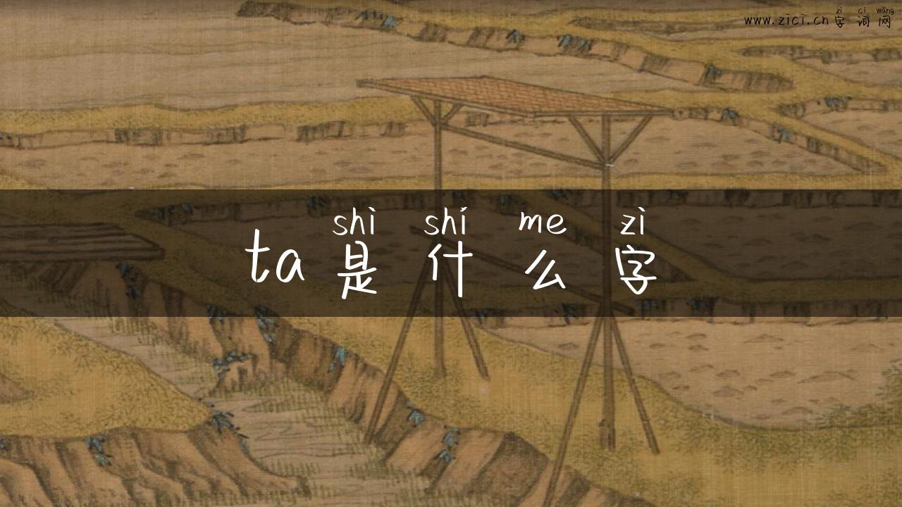 ta是什么字