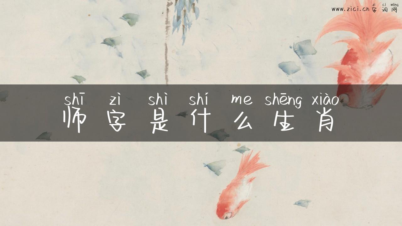 师字是什么生肖