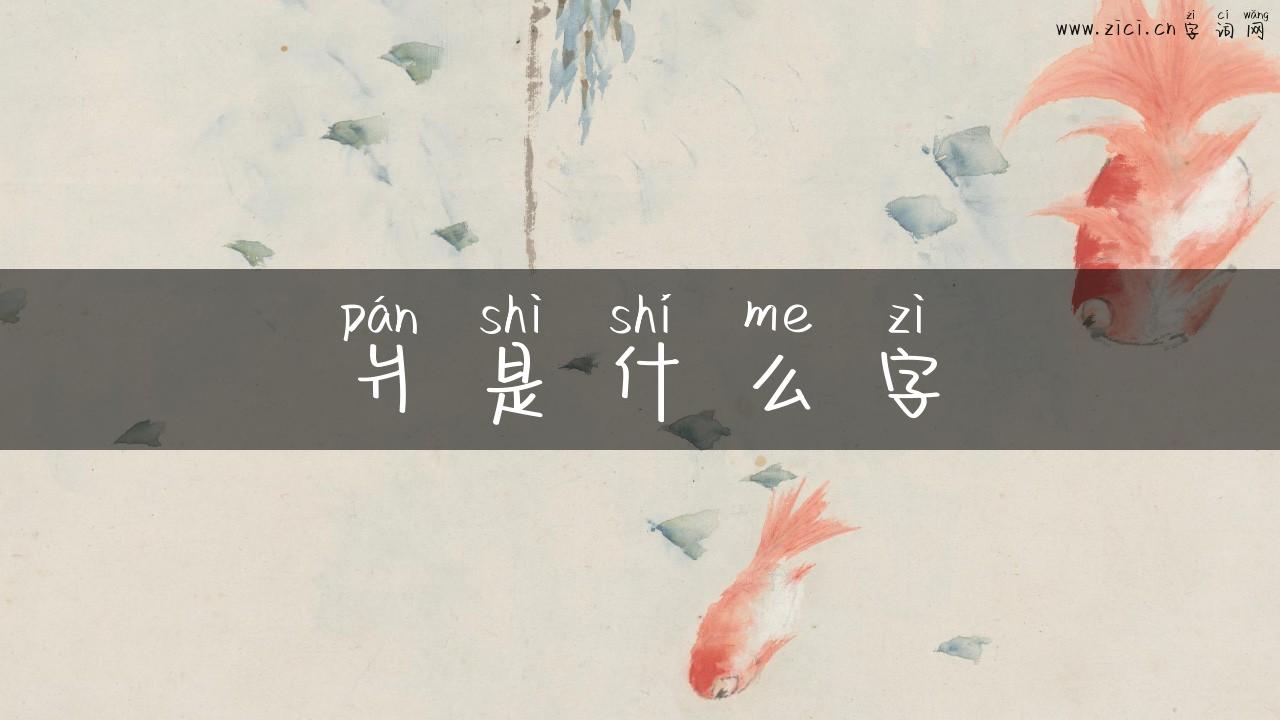 爿是什么字