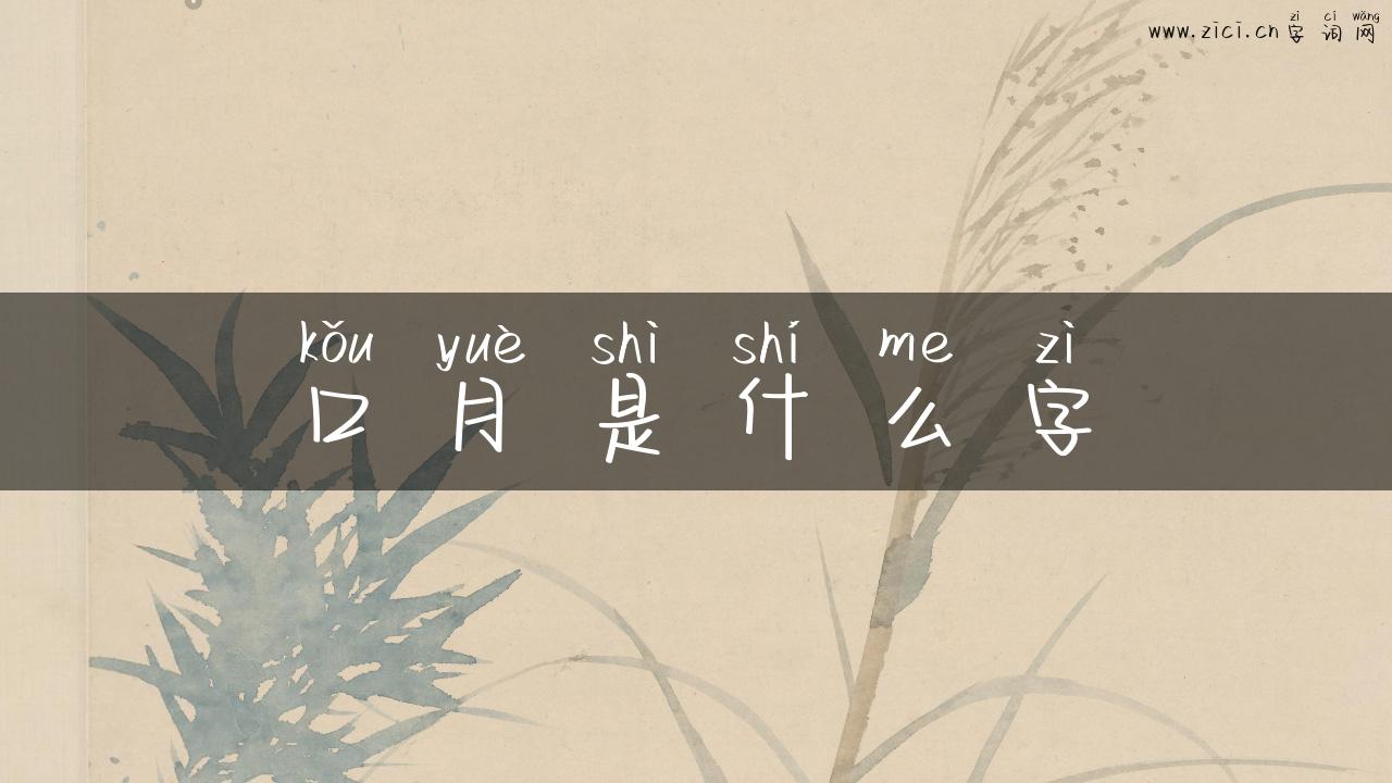 口月是什么字
