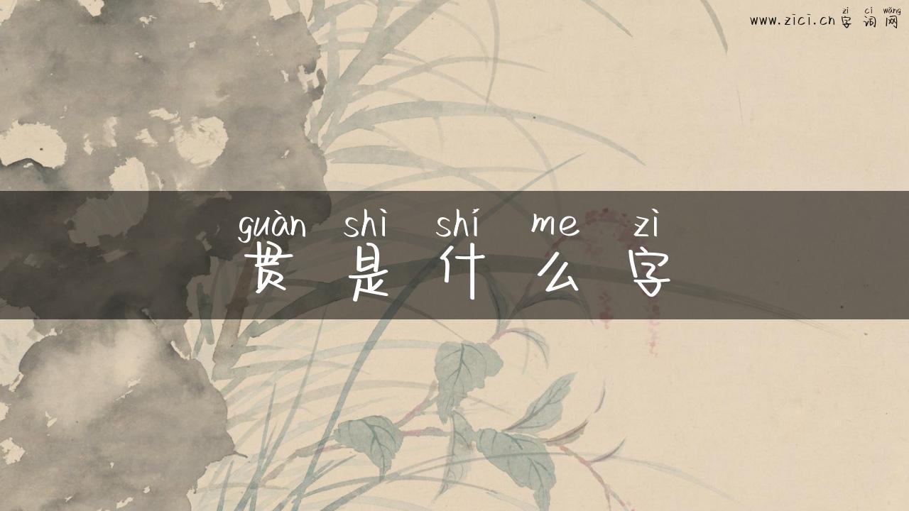 贯是什么字