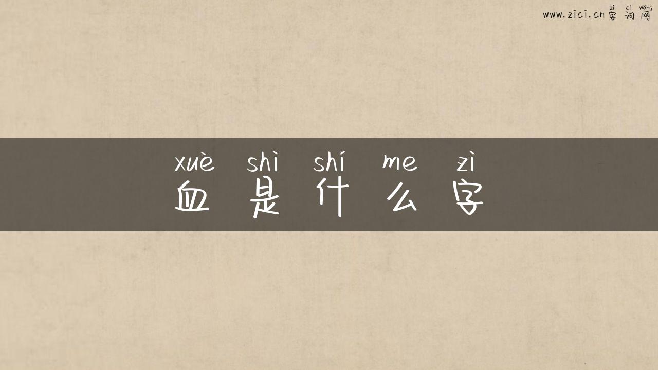 血是什么字