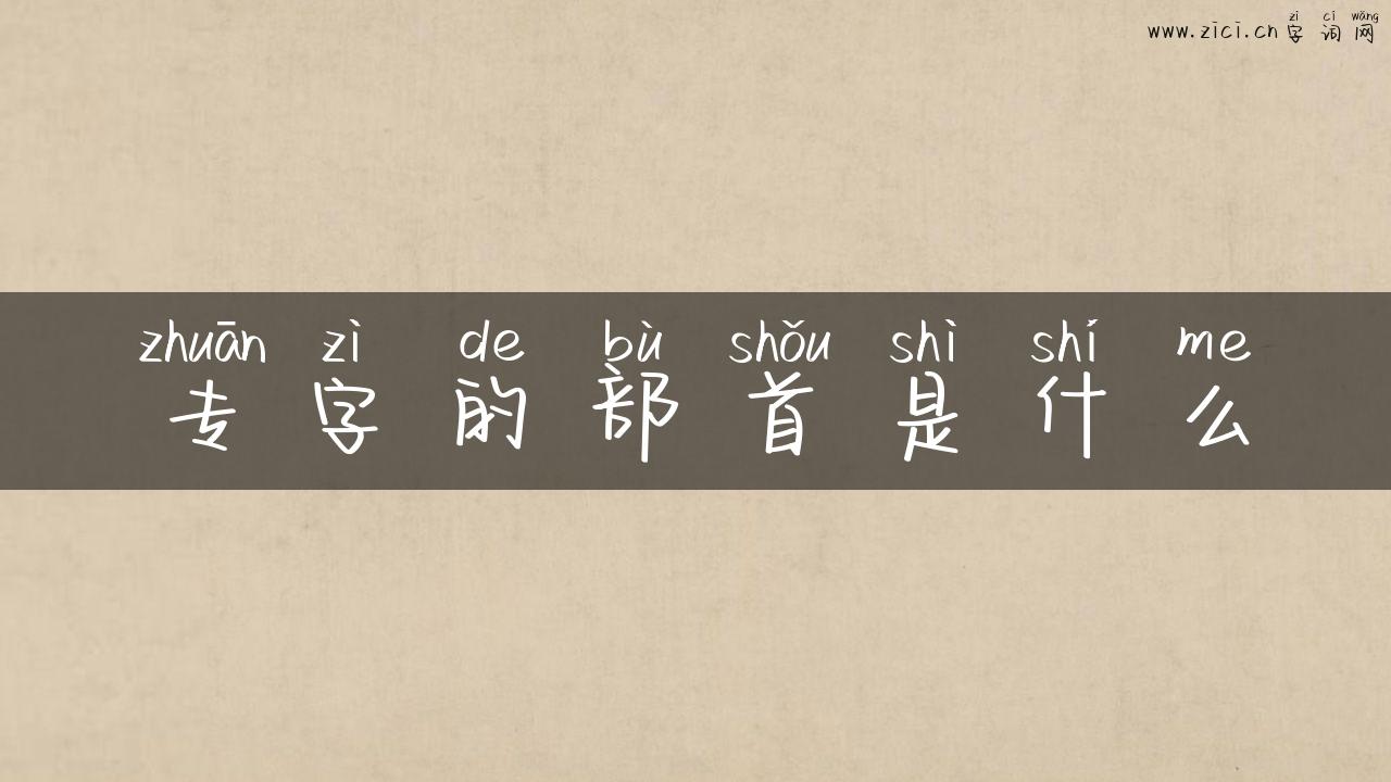 专字的部首是什么