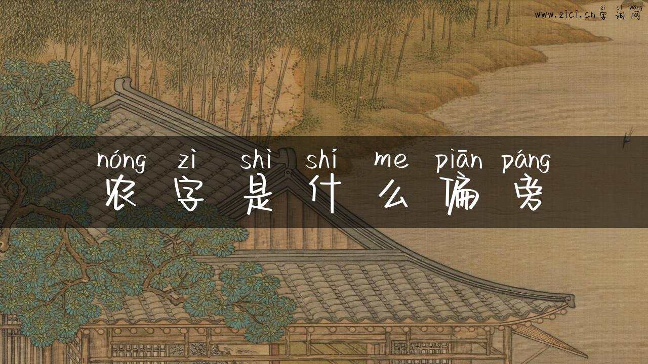农字是什么偏旁