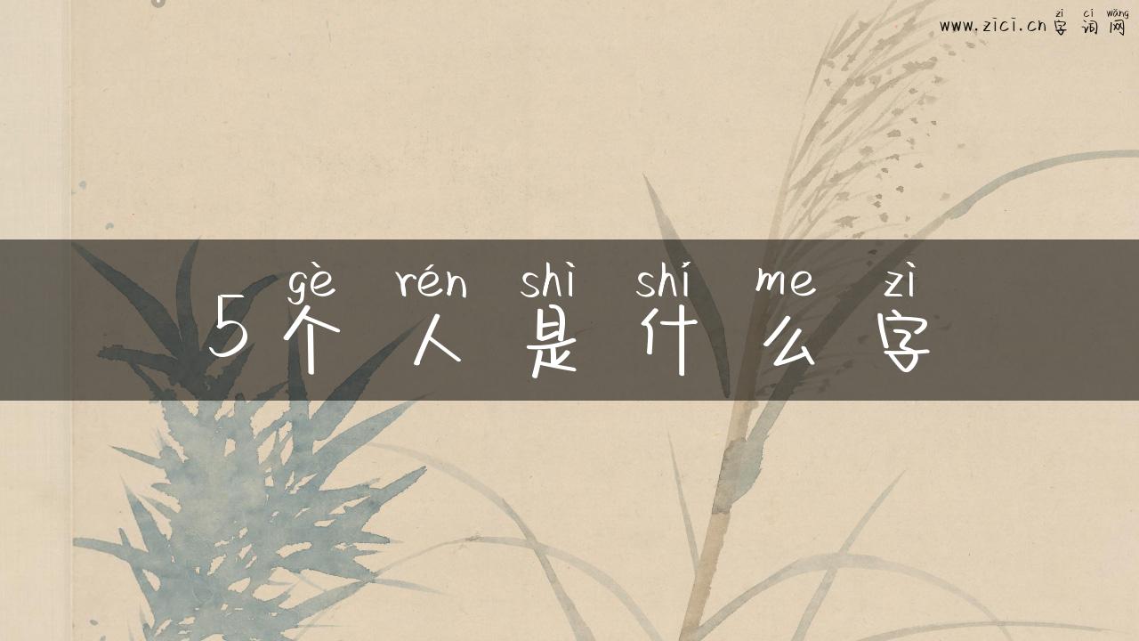 5个人是什么字