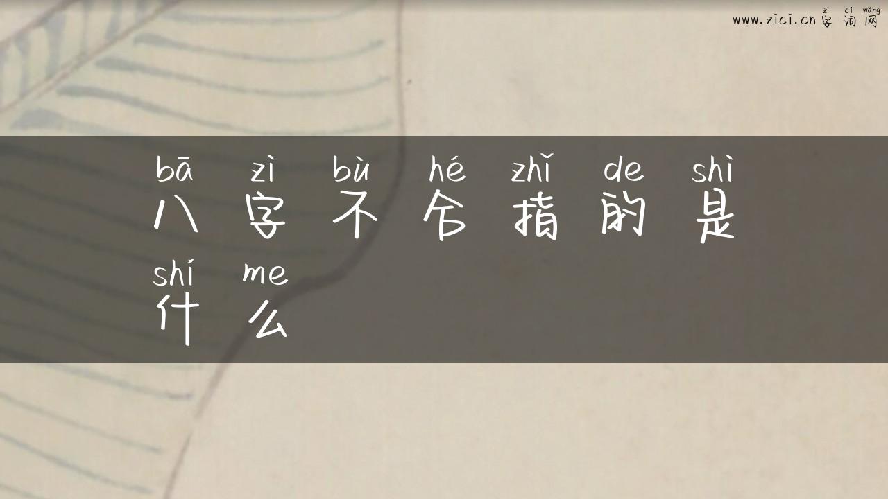 八字不合指的是什么
