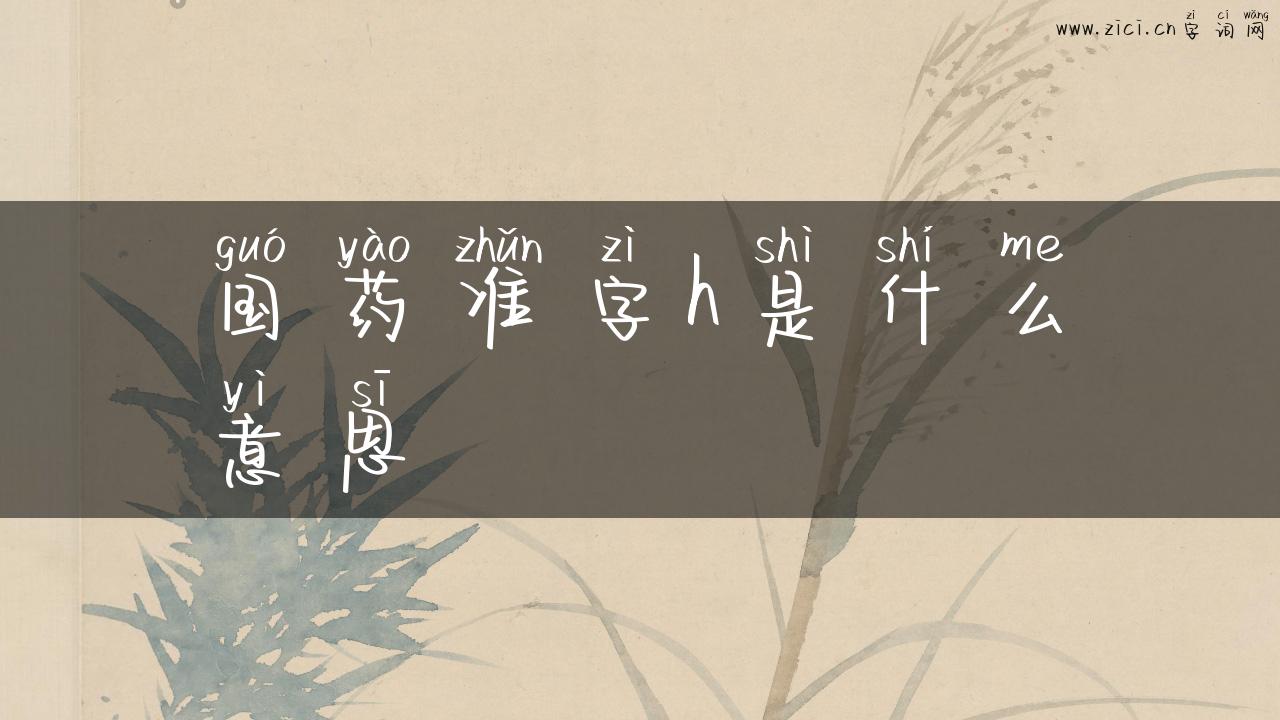 国药准字h是什么意思