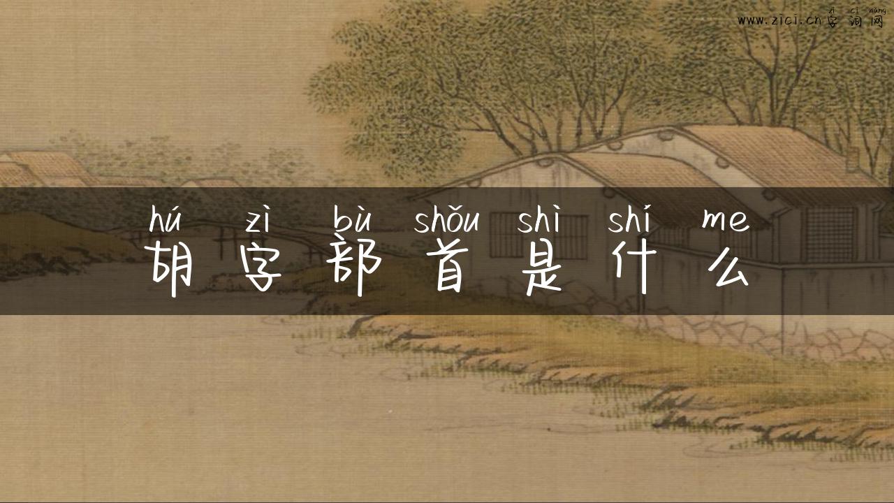 胡字部首是什么