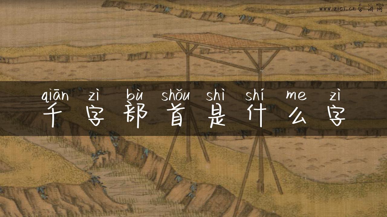 千字部首是什么字