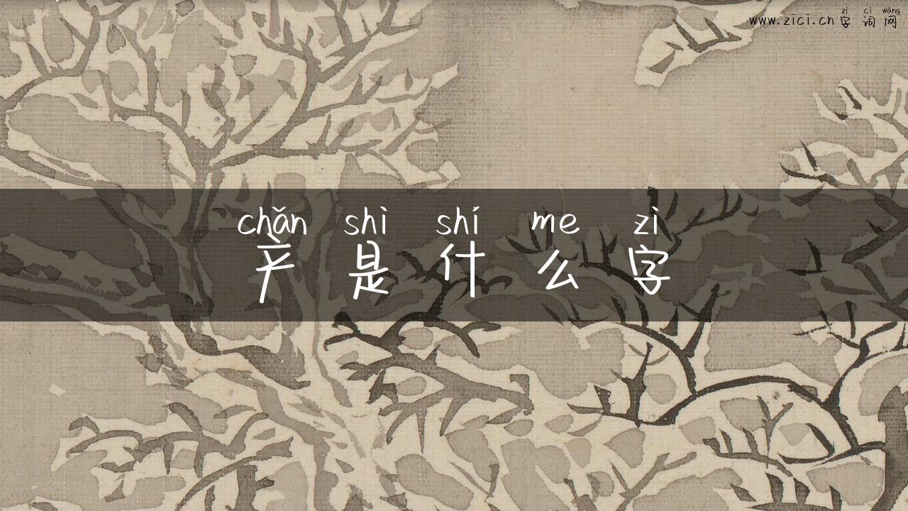产是什么字