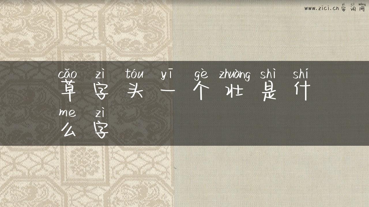 草字头一个壮是什么字