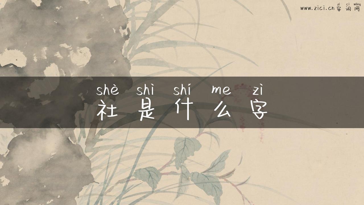 社是什么字
