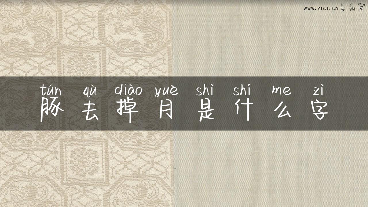 豚去掉月是什么字