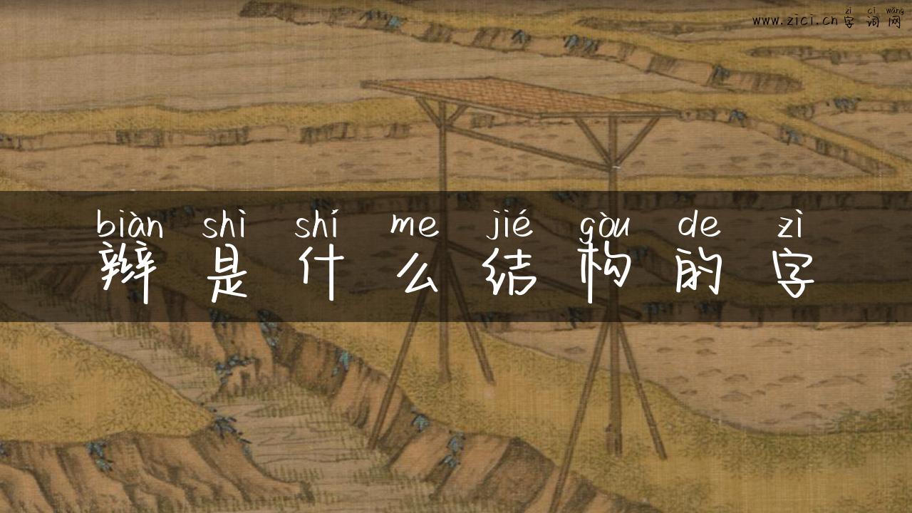 辫是什么结构的字