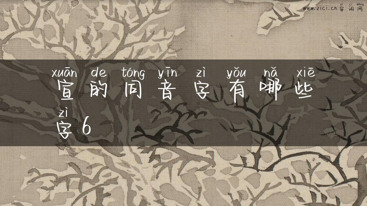 宣的同音字有哪些字6