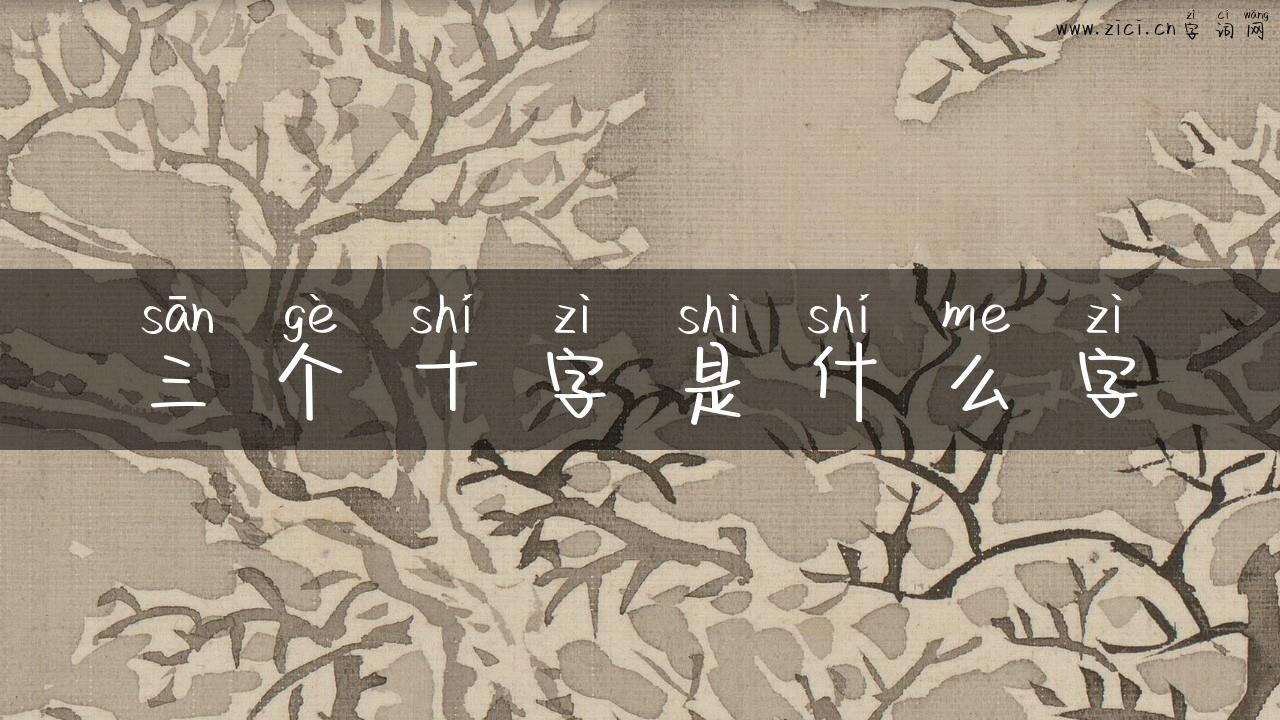 三个十字是什么字