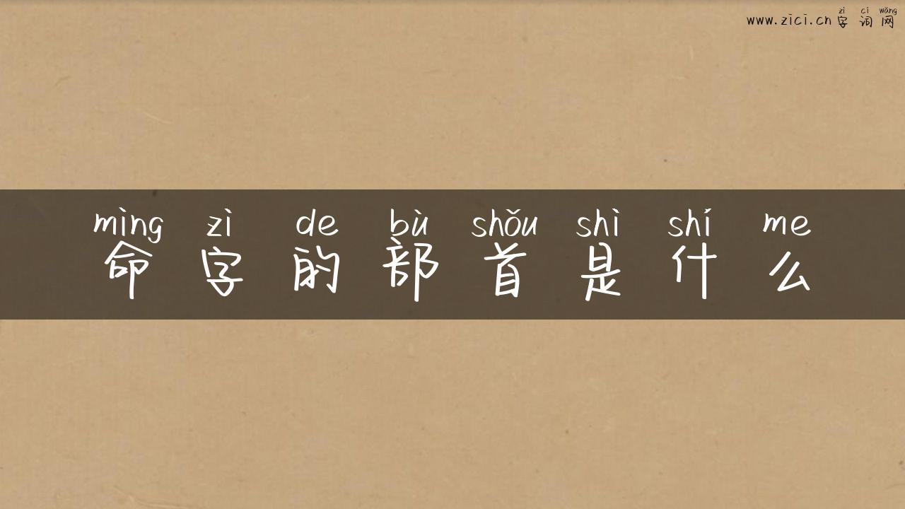 命字的部首是什么