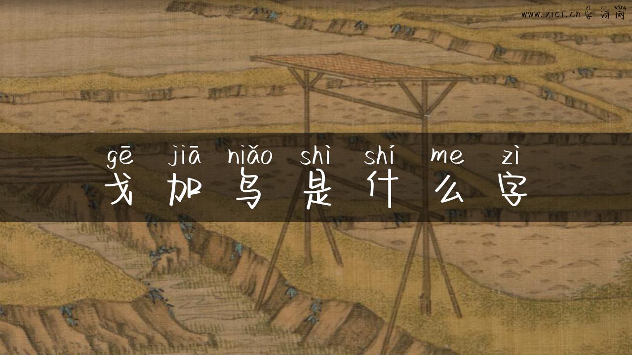 戈加鸟是什么字