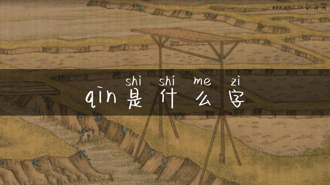 qin是什么字
