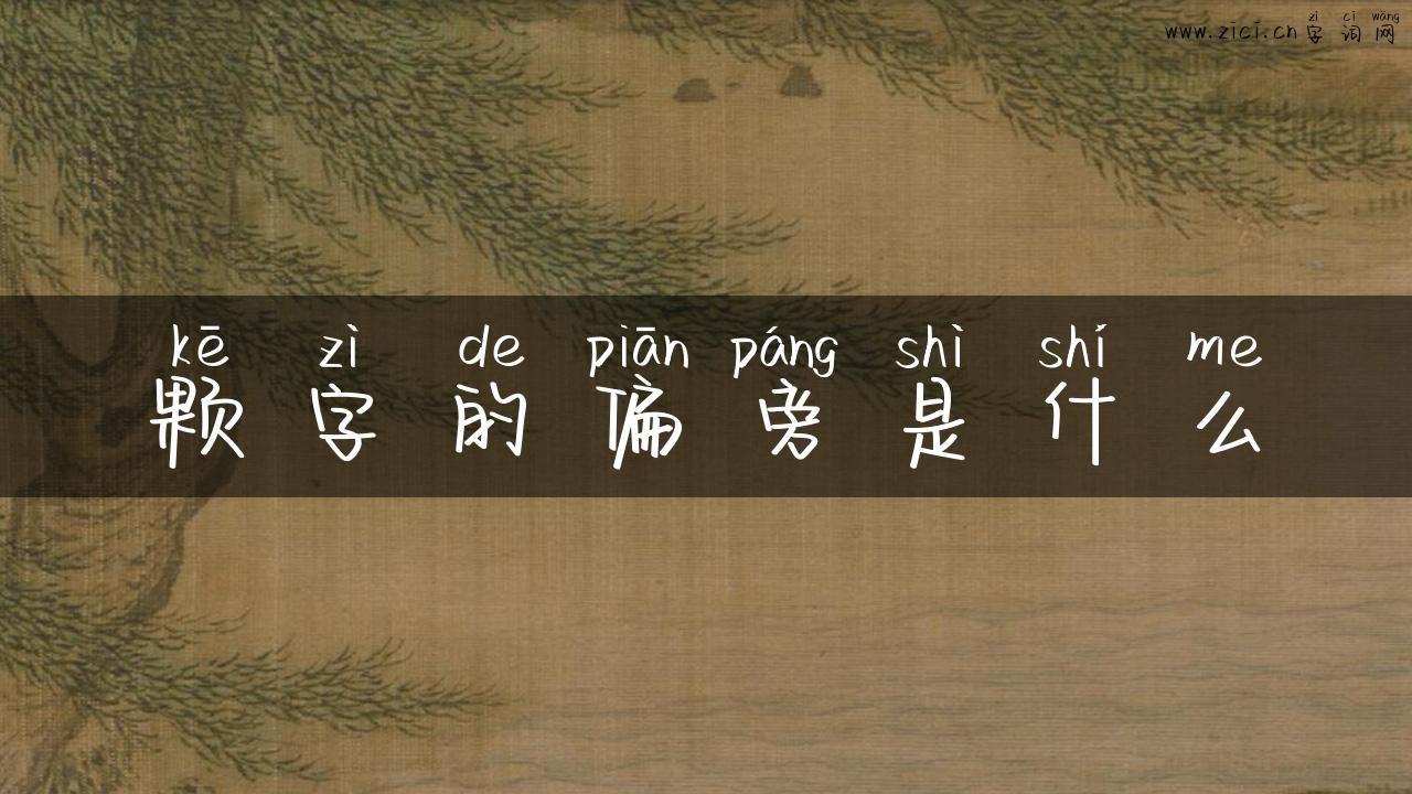 颗字的偏旁是什么
