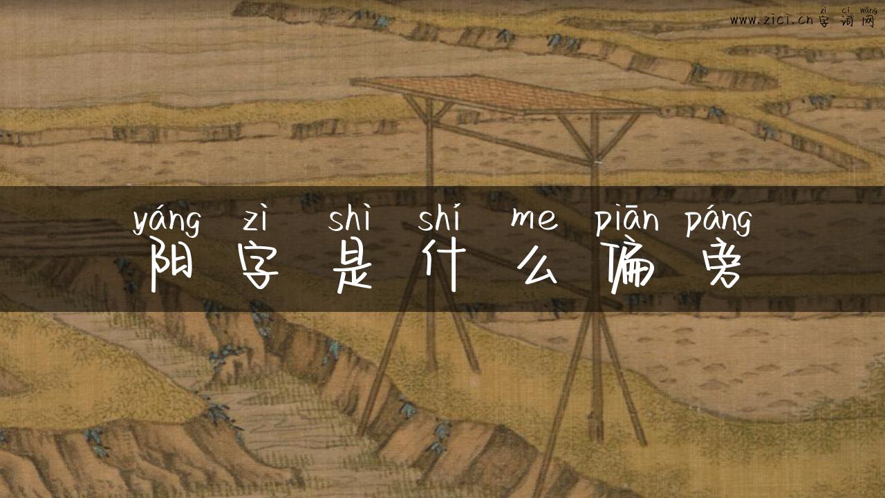 阳字是什么偏旁