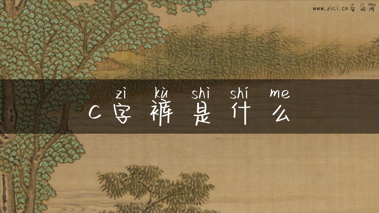 c字裤是什么