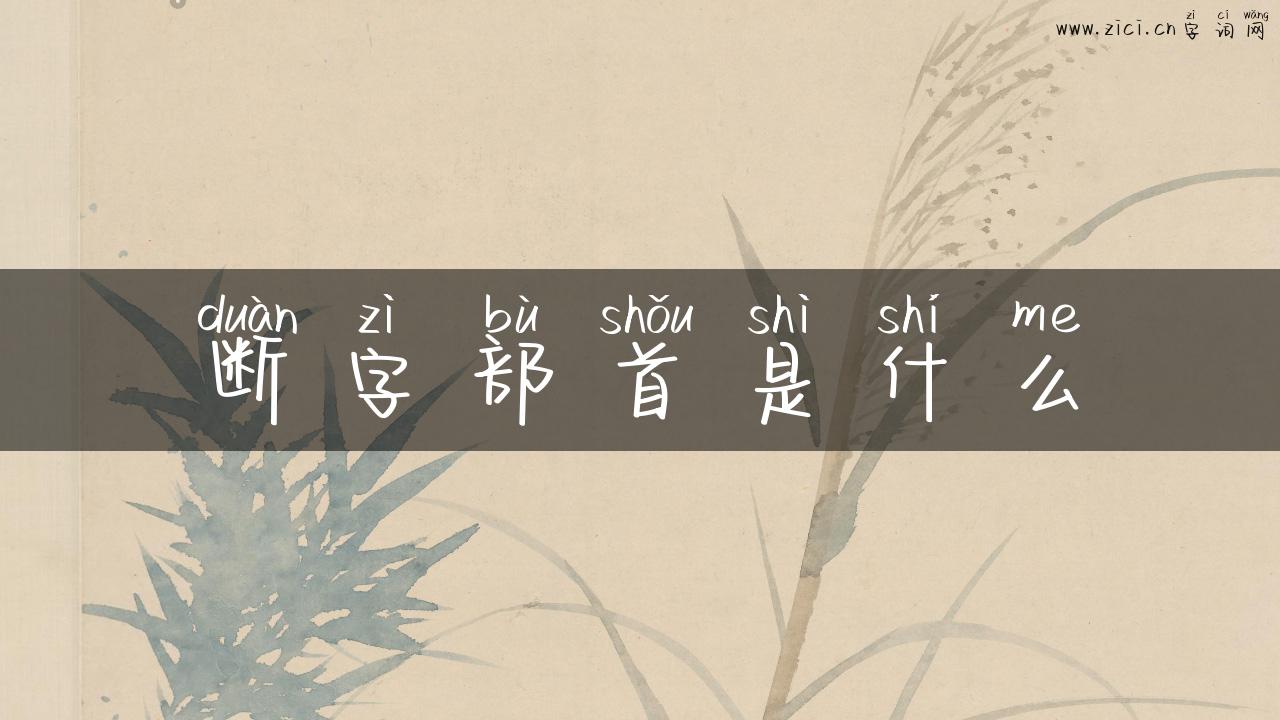 断字部首是什么