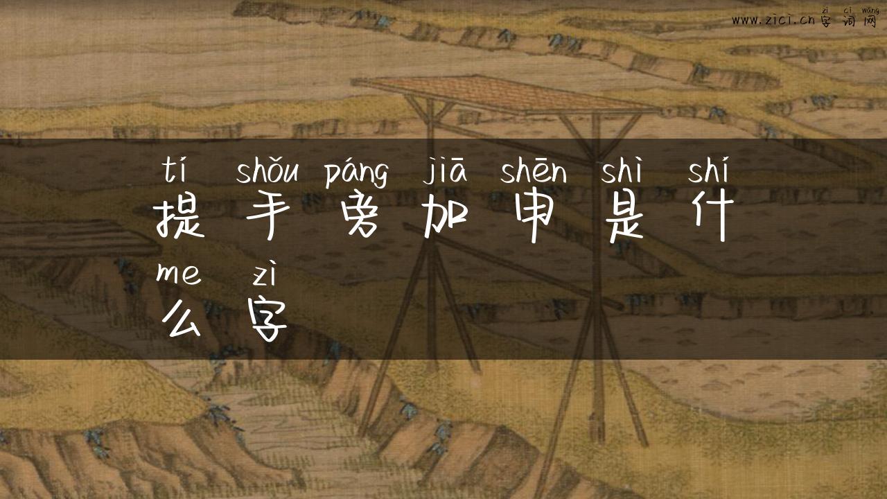 提手旁加申是什么字