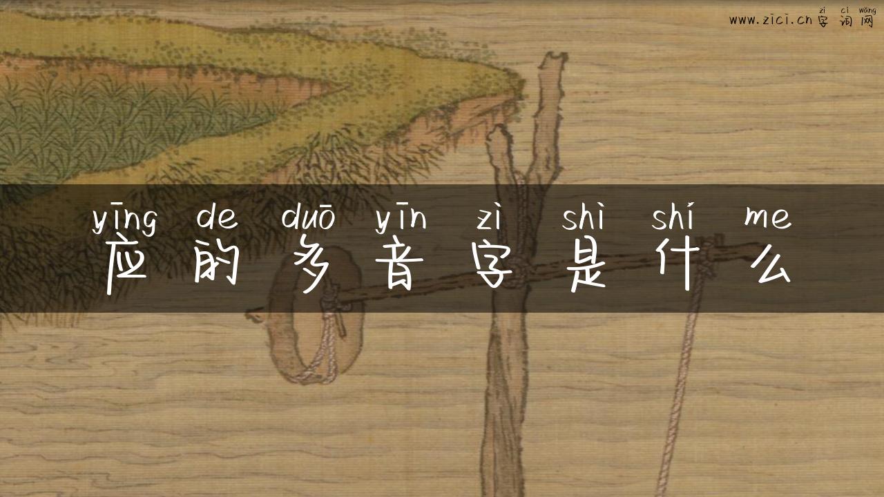 应的多音字是什么