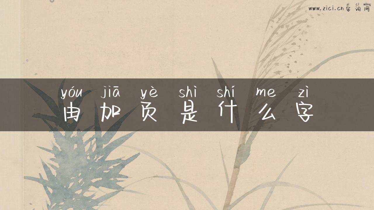 由加页是什么字