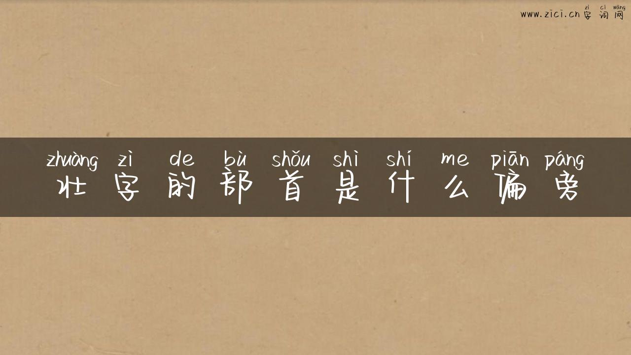 壮字的部首是什么偏旁