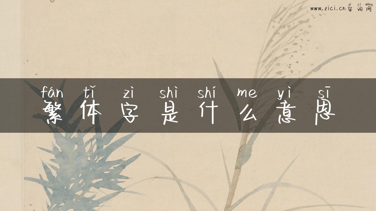 繁体字是什么意思