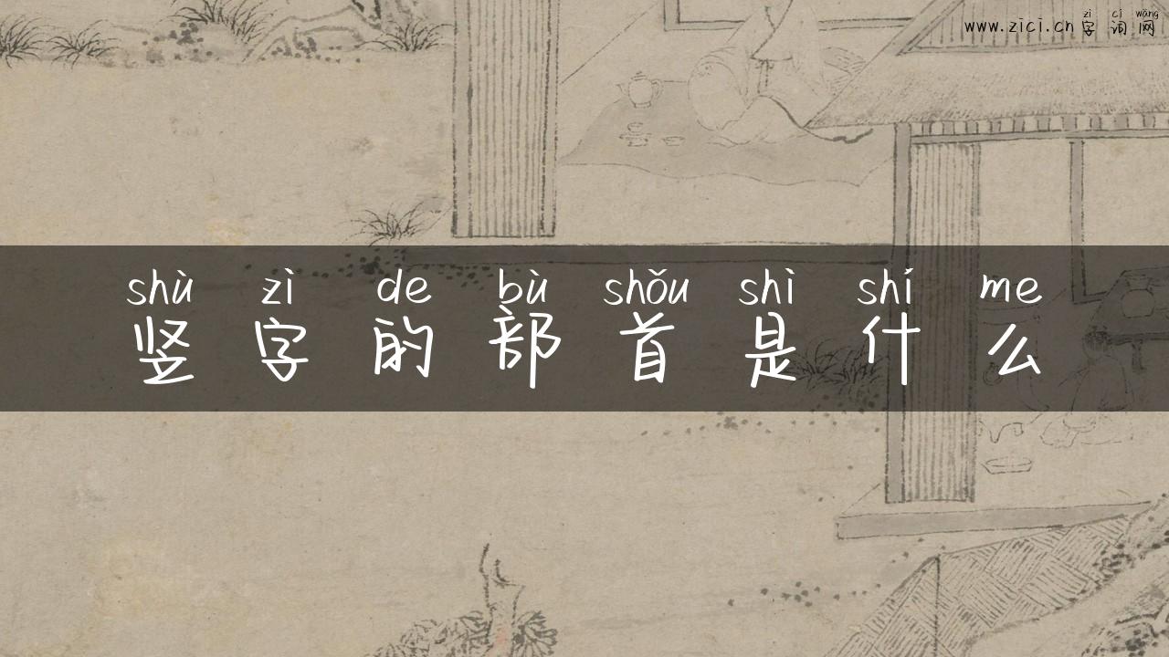 竖字的部首是什么