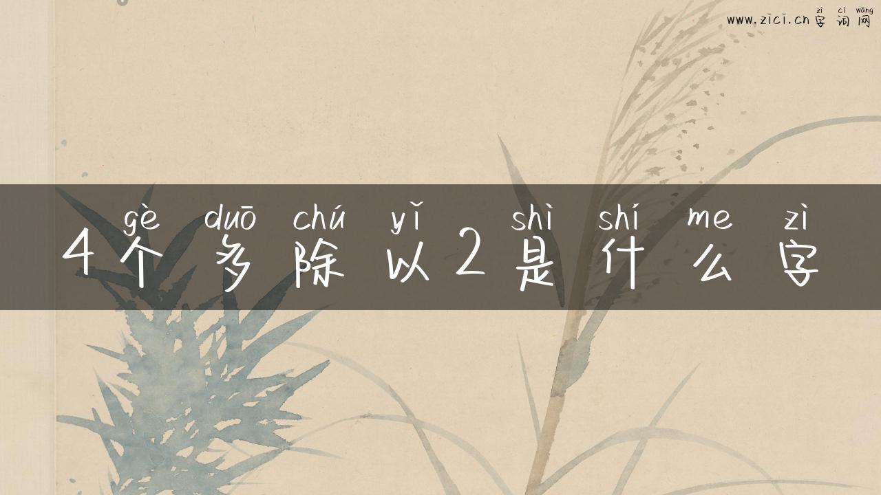 4个多除以2是什么字