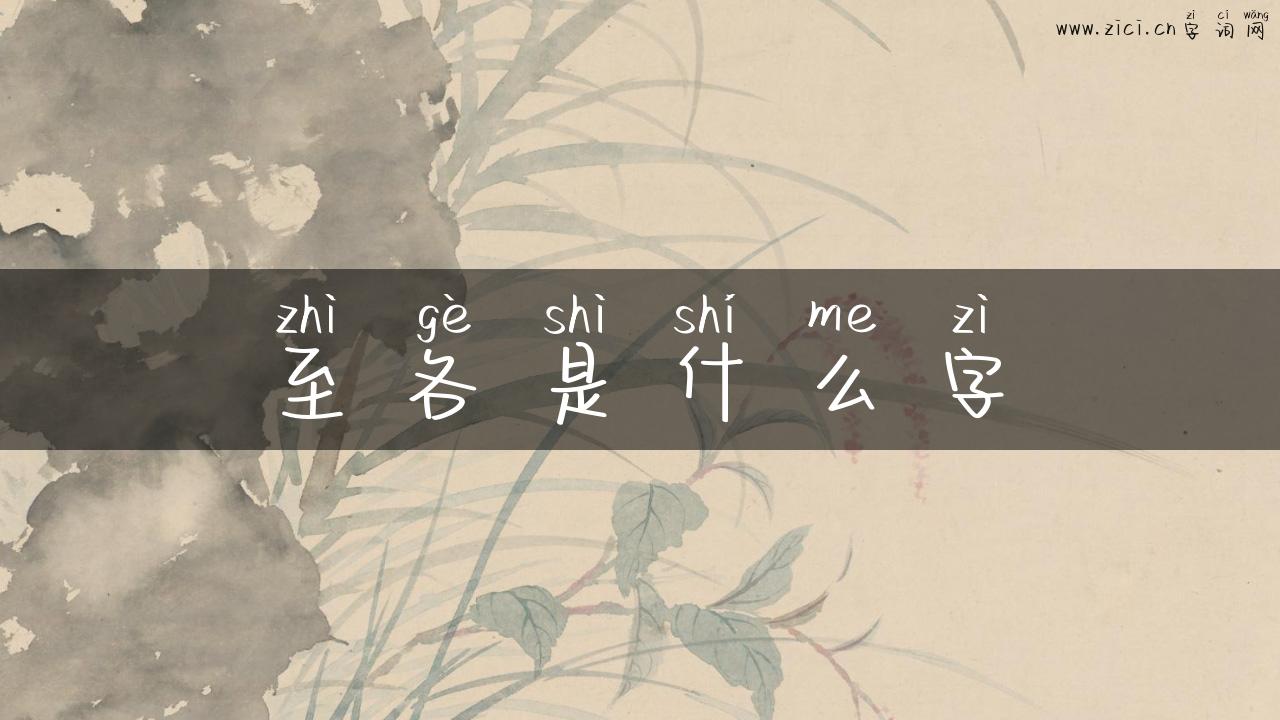 至各是什么字