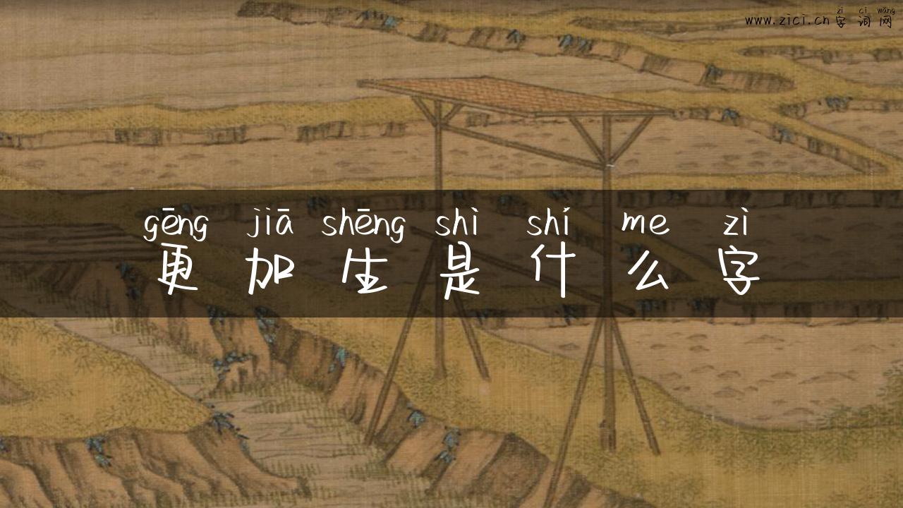 更加生是什么字