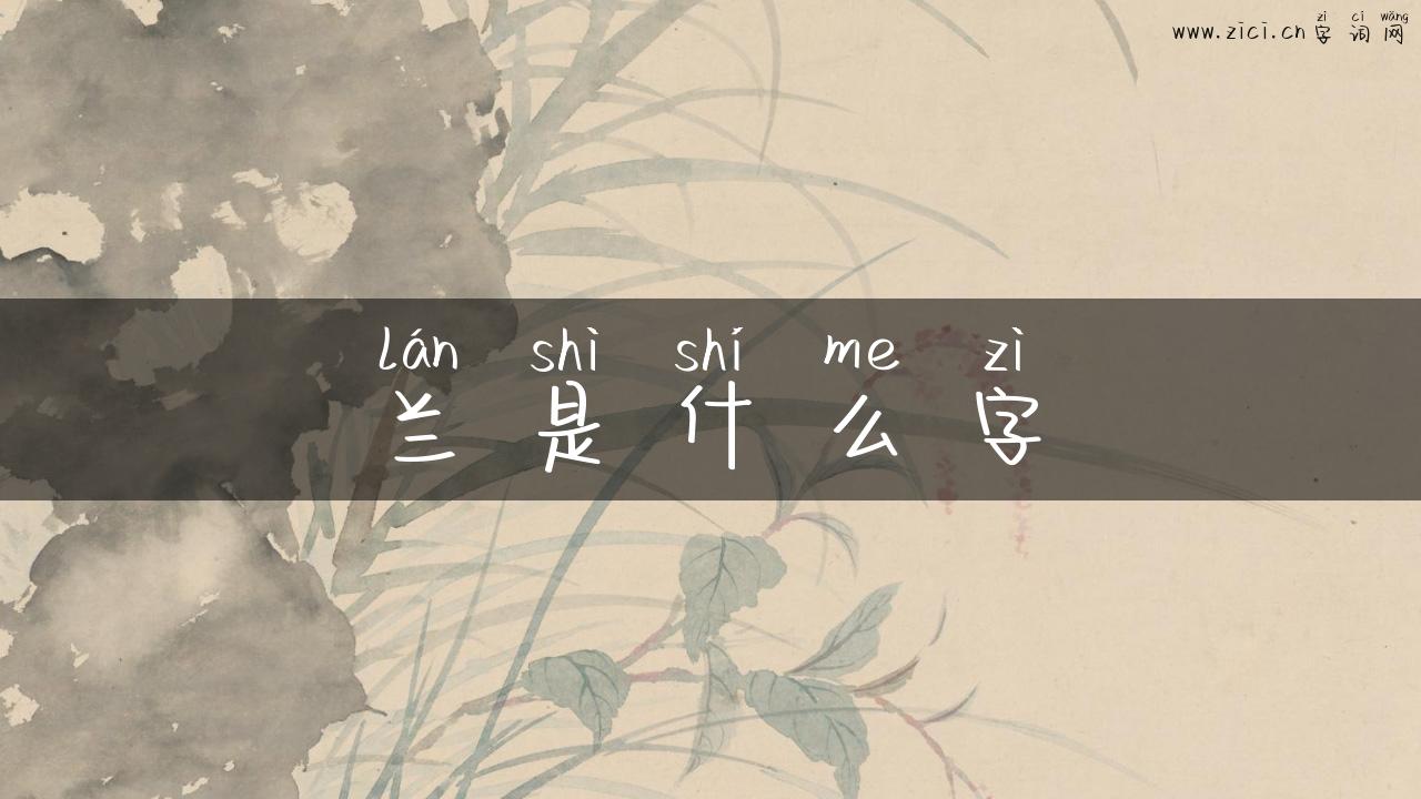兰是什么字