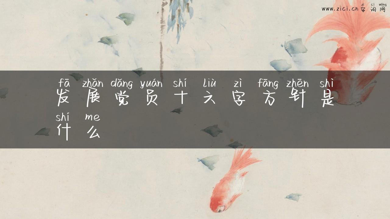 发展党员十六字方针是什么