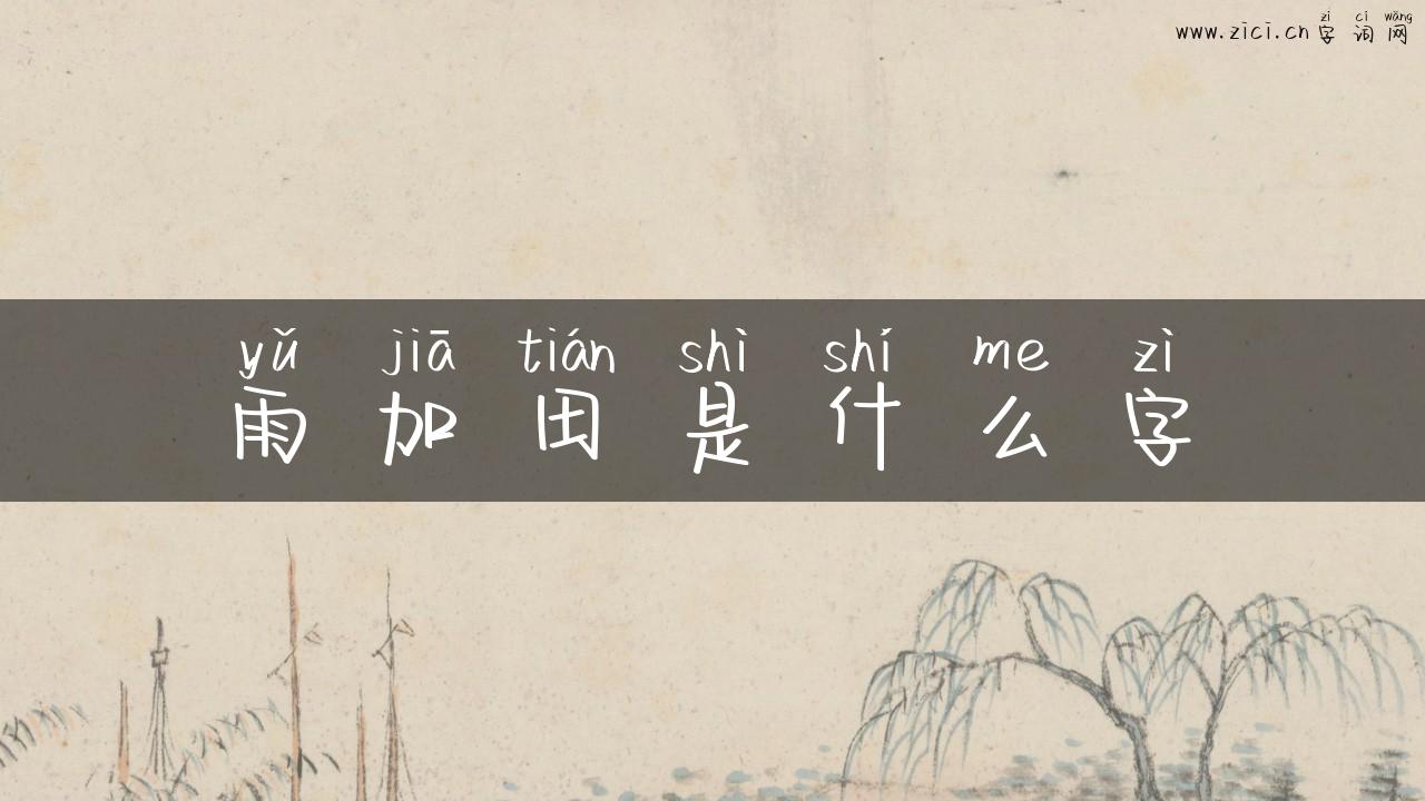 雨加田是什么字