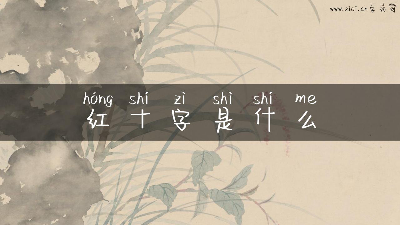 红十字是什么